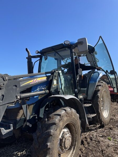 特定技能農業派遣