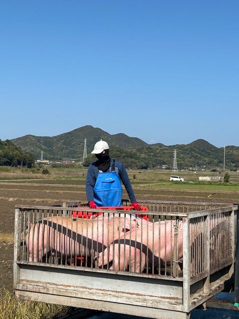 特定技能 登録支援